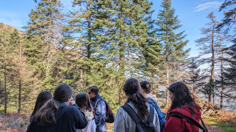 Imagen de WhatsApp 2024 02 07 a las 15.07.06 3b1dfe5c